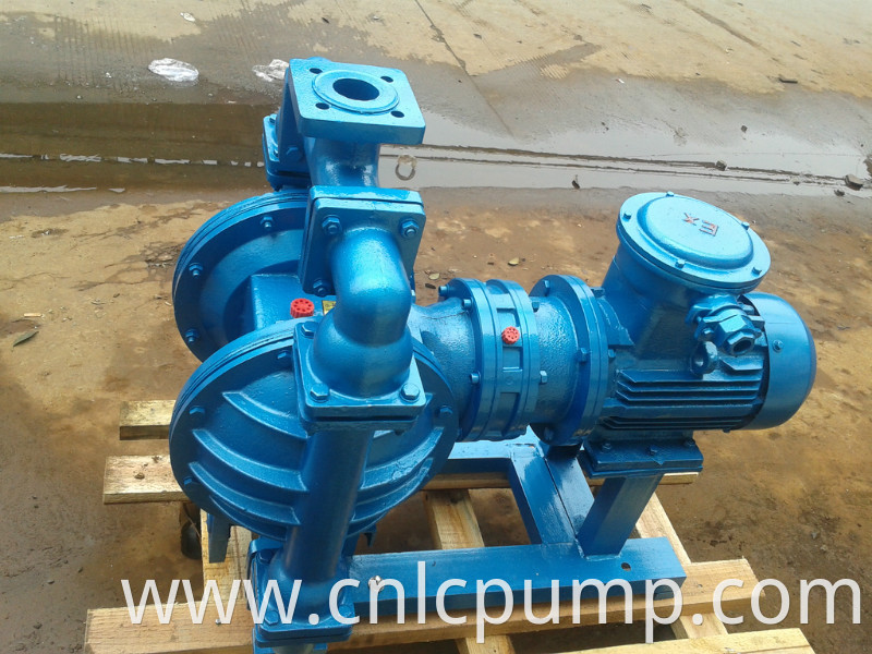 stainless steel Pneumatic Diaphragm Pump Structure Standard or Nonstandard Diahphragm Pump